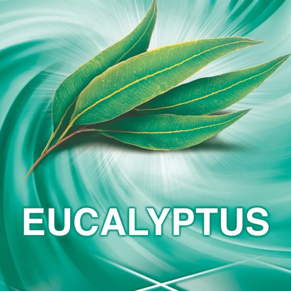 Ajax Schoonmaakmiddelen>Eucalyptus Allesreiniger