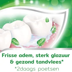 Aquafresh Tandpasta>Anti-Cariës Tandpasta