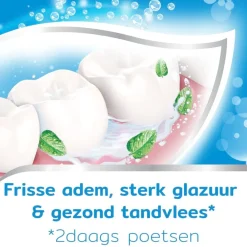 Aquafresh Tandpasta>Coolmint Tandpasta