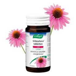 A.Vogel Natuurlijke Supplementen|Weerstand En Of Energie>Echinaforce Sterk** + Energie2* Tabletten