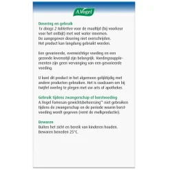A.Vogel Overgang><noscript><img width=