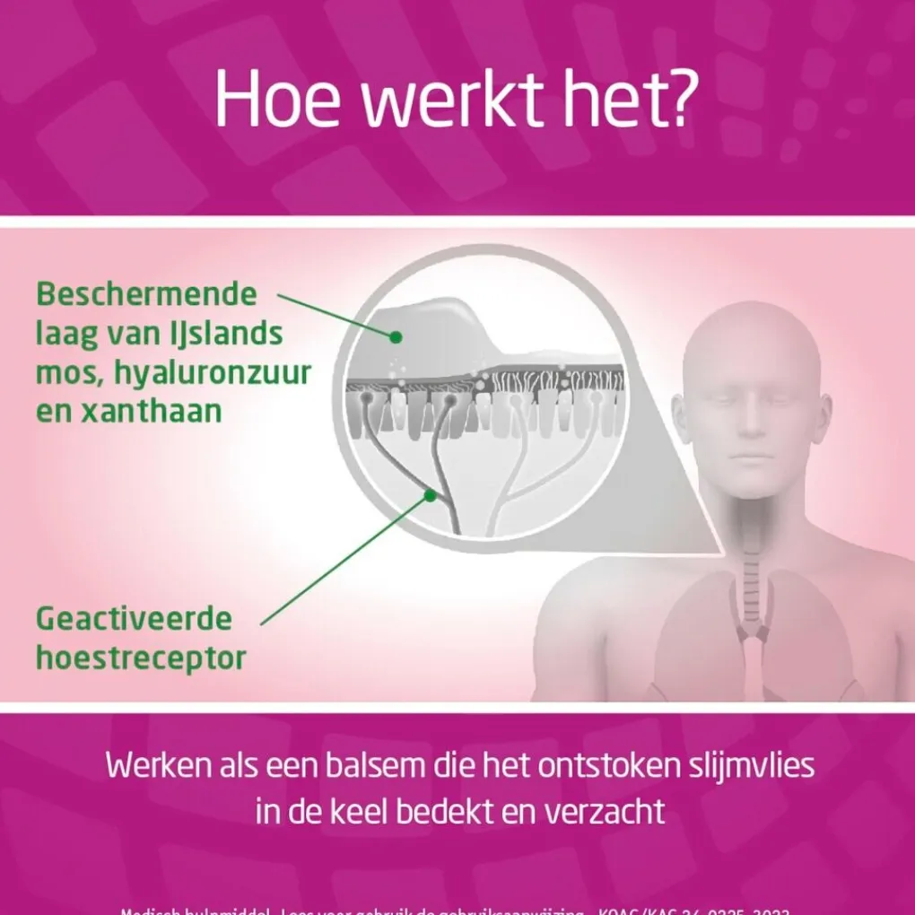 Bronchostop Luchtwegen>Direct Nacht 5-in-1 Hoestdrank