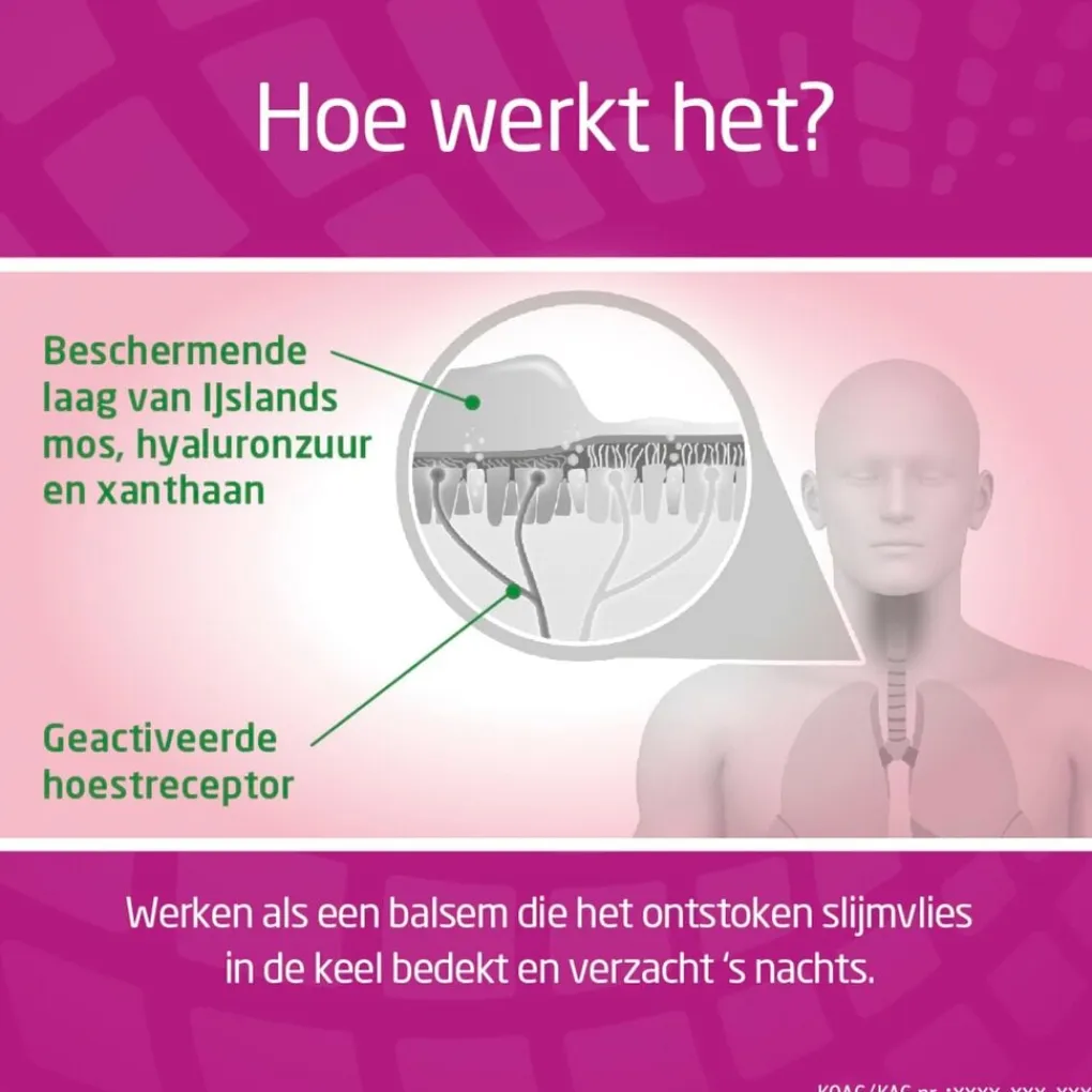 Bronchostop Luchtwegen>Max 8-in-1 Hoestdrank