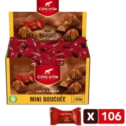 Cote D'Or Snacks En Snoep>Côte d'Or Chocolade Mini Bouchée Pralines