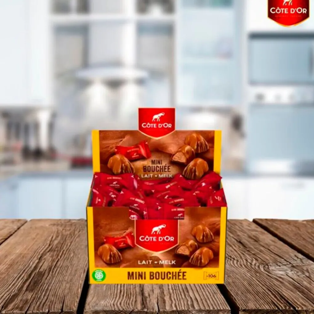 Cote D'Or Snacks En Snoep>Côte d'Or Chocolade Mini Bouchée Pralines