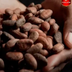 Cote D'Or Snacks En Snoep><noscript><img width=