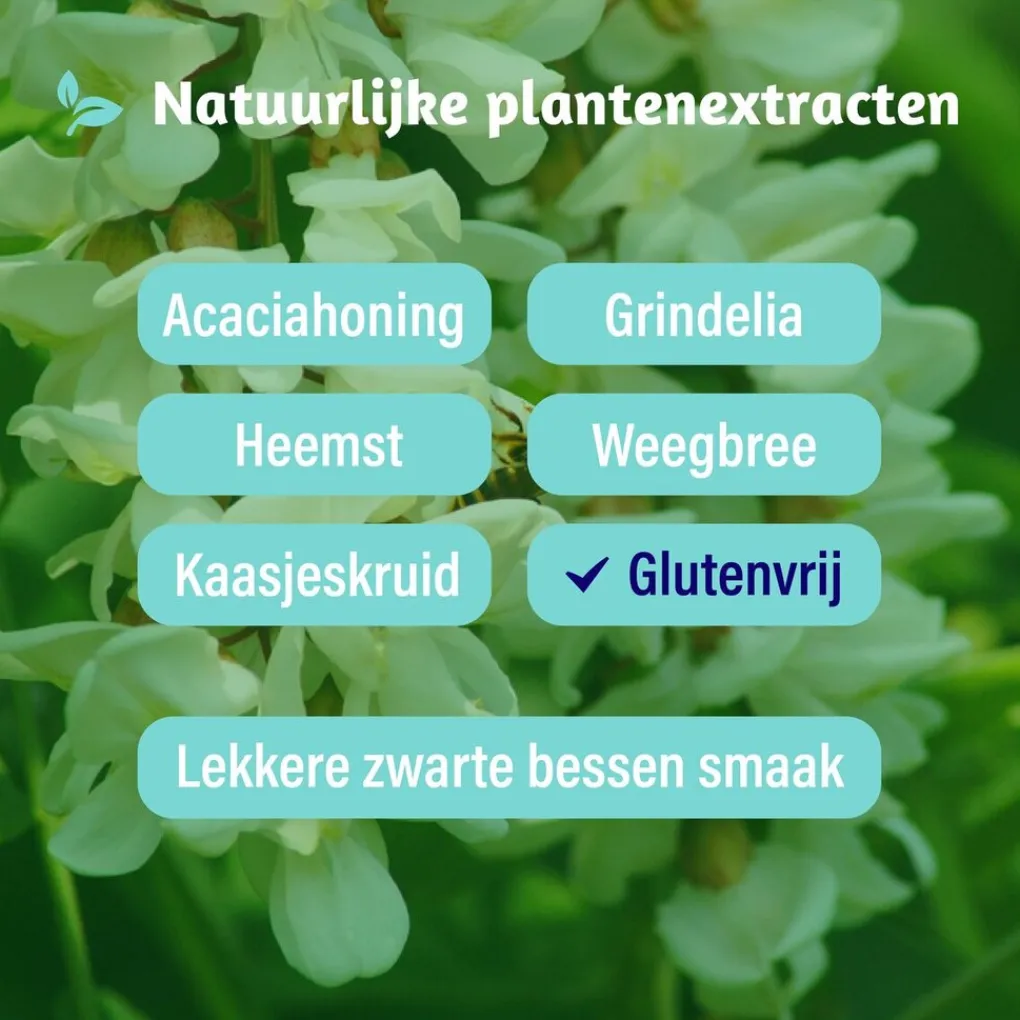 Dampo Luchtwegen>Kids Alle Hoest Siroop