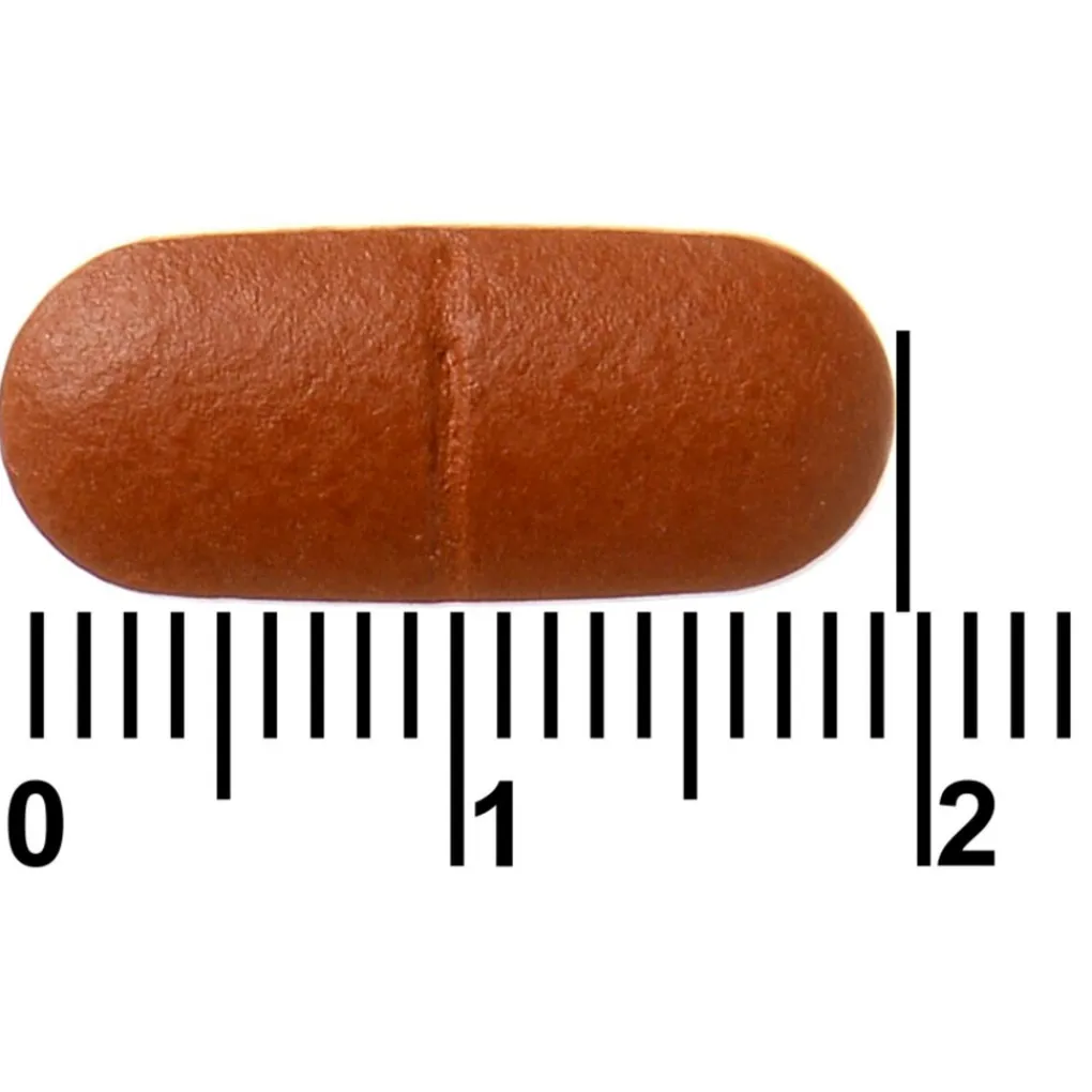 Davitamon Botten En Gewrichten|Vitamines>Actifit 65+ Tabletten