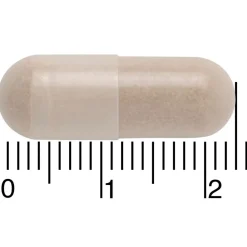 Davitamon Rust En Ontspanning>Nachtrust 3-in-1 Capsules