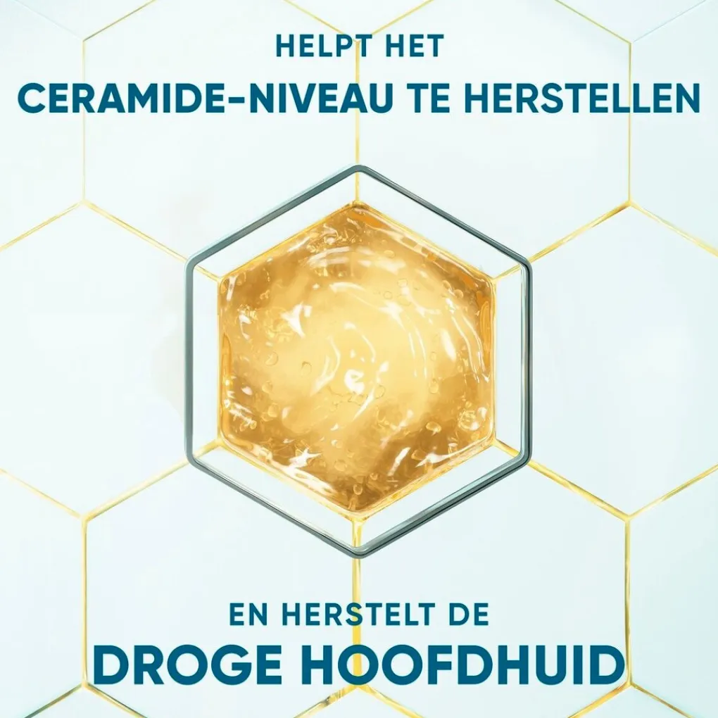 Head & Shoulders Shampoo>DermaXPro by Hydrateert Antiroosshampoo
