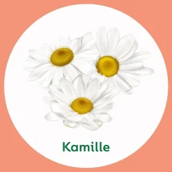 Dettol Handzeep><noscript><img width=