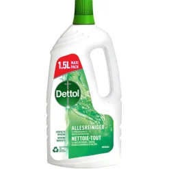 Dettol Schoonmaakmiddelen>Power & Fresh Original Allesreiniger