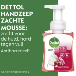 Dettol Handzeep><noscript><img width=