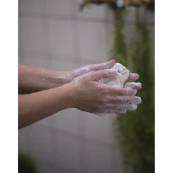 Foamie Shampoo><noscript><img width=