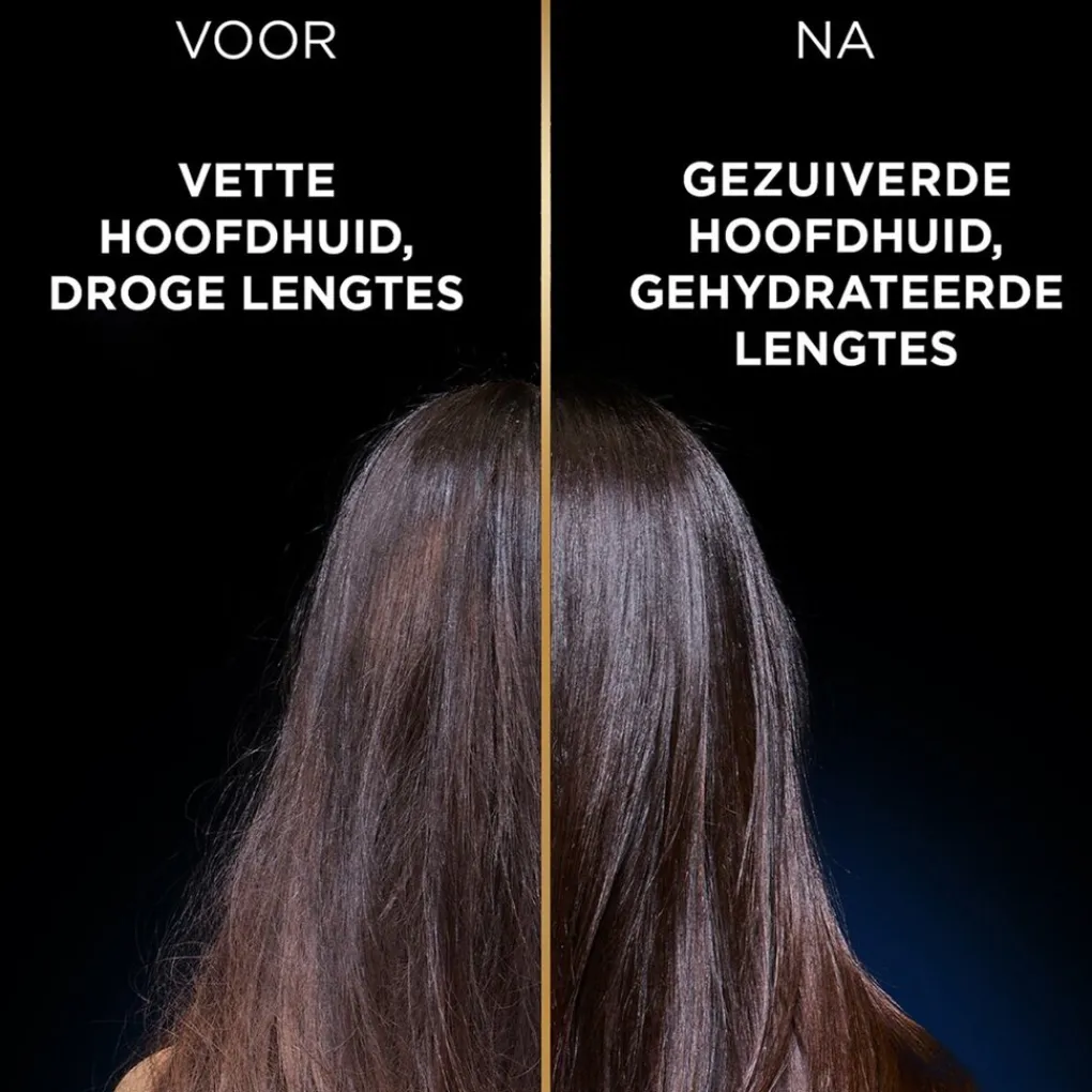 Loving Blends Shampoo>Garnier Magnetic Charcoal Shampoo