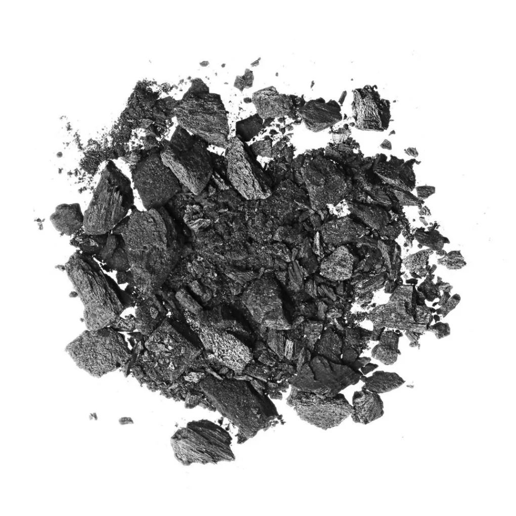 Garnier Skin Naturals Gezichtsmaskers>Pure Active Charcoal Peel Off-Masker