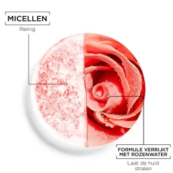 Garnier Skin Naturals Gezichtsreiniging><noscript><img width=