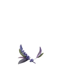 Guhl Haarmasker><noscript><img width=