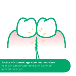 Gum Tandenstokers|Tandenragers><noscript><img width=