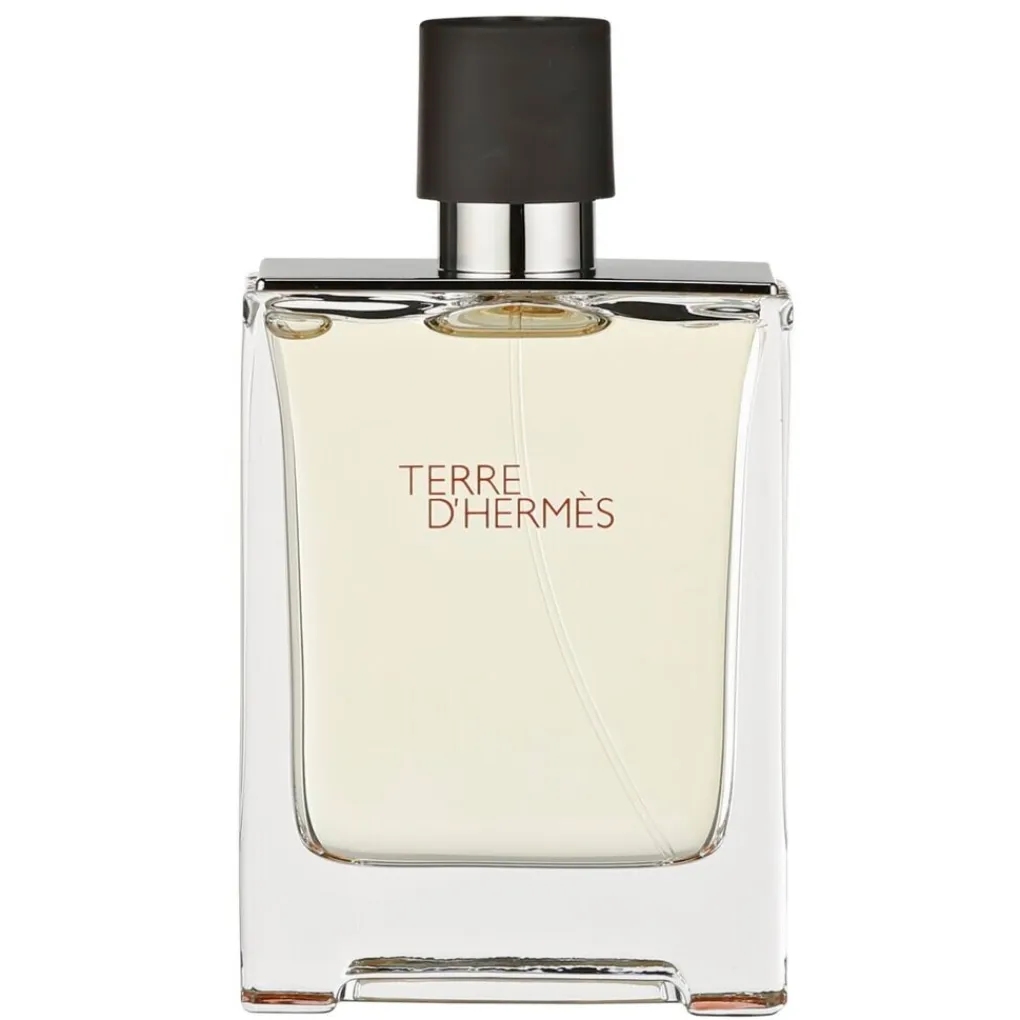 Heren Hermes Herenparfum>Hermès Terre d'Hermès Eau de Toilette