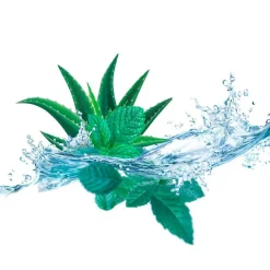 Kneipp Voetbad><noscript><img width=