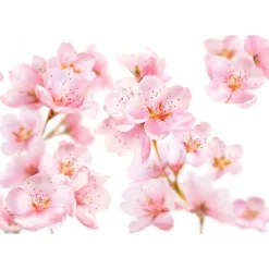 Kneipp Massageolie En Massagelotion><noscript><img width=