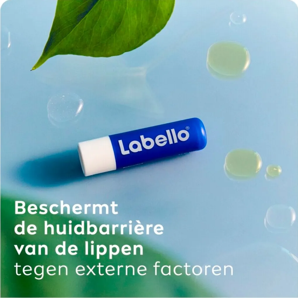 Labello Lippenbalsem>Original Lippenbalsem