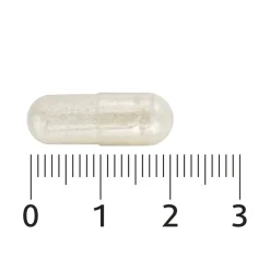 Lucovitaal Bacteriestammen>Probiotica Vitaminen & Mineralen Complex Capsules