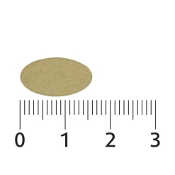 Lucovitaal Mineralen>Sterk IJzer Complex + Vitaminen & Mineralen Tabletten
