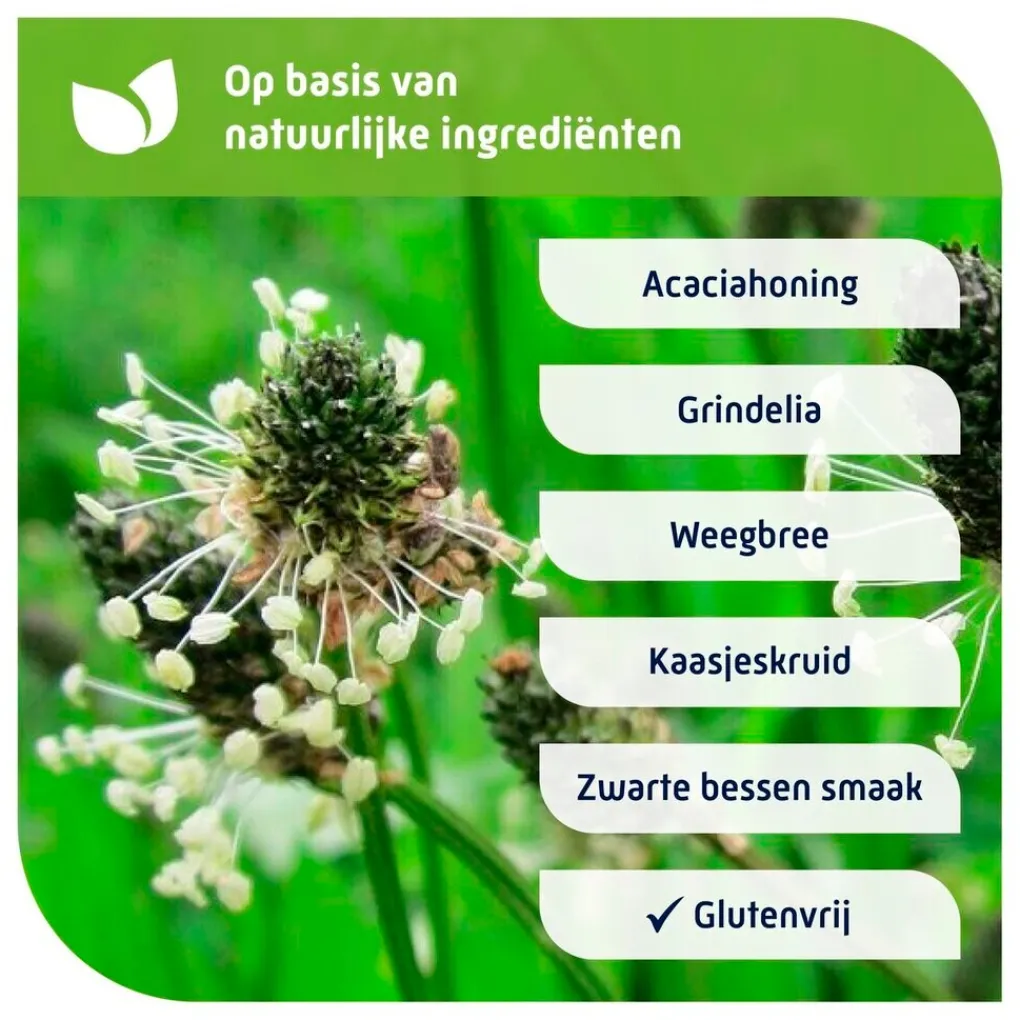 Natterman Luchtwegen>Voor Alle Hoest Kindersiroop