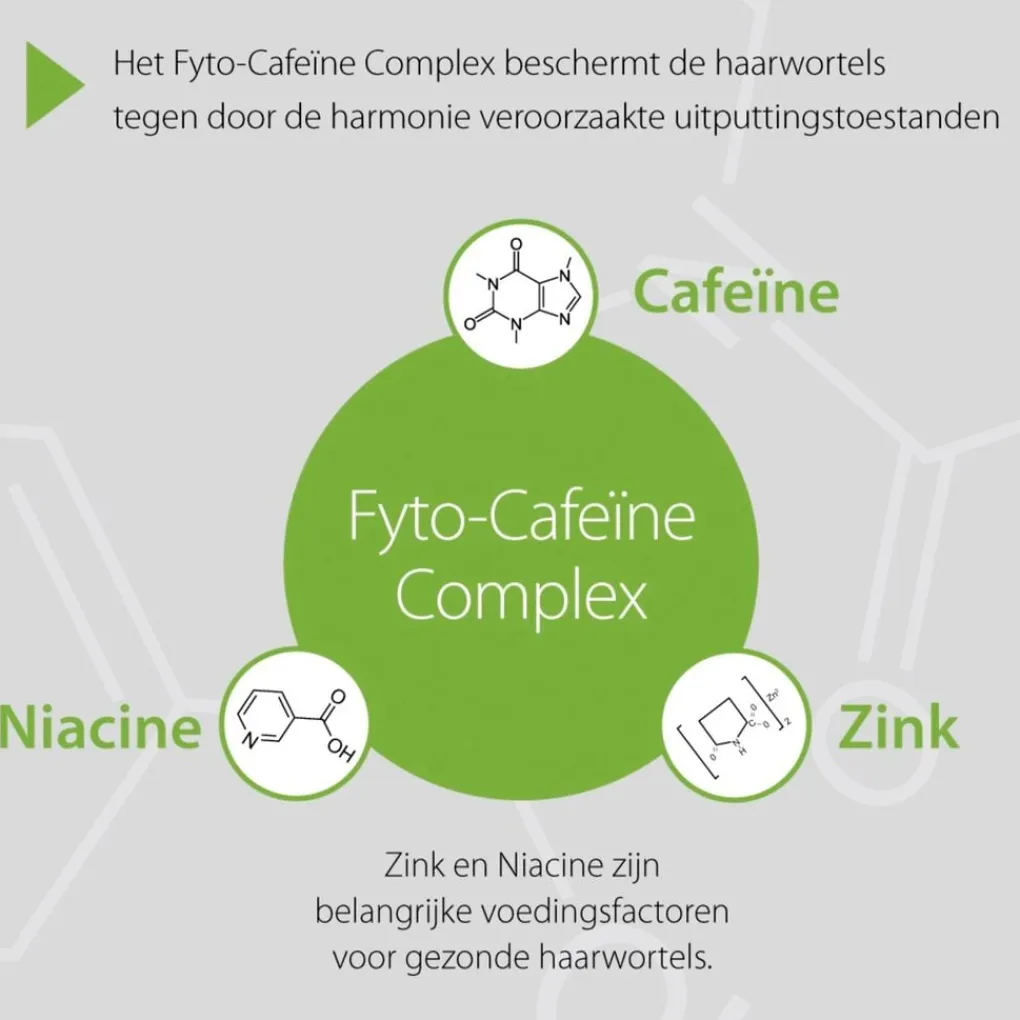 Plantur 39 Shampoo>Plantur39 Cafeïne Shampoo voor Gekleurd Haar