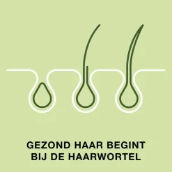 Priorin Beautysupplementen><noscript><img width=