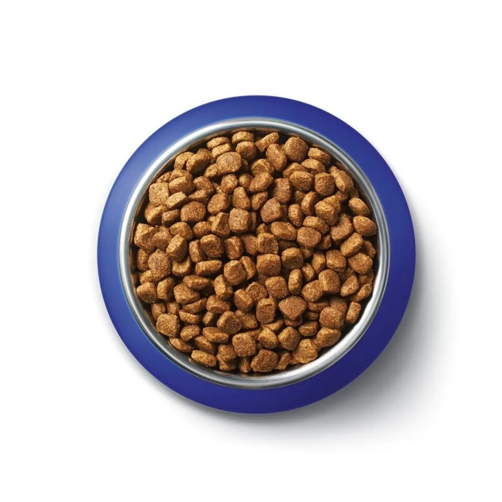 One Diervoeding>Purina Adult Rijk aan Zalm Kattenvoer