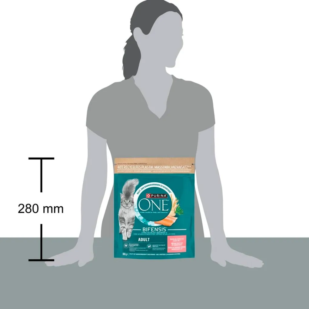 One Diervoeding>Purina Adult Rijk aan Zalm Kattenvoer
