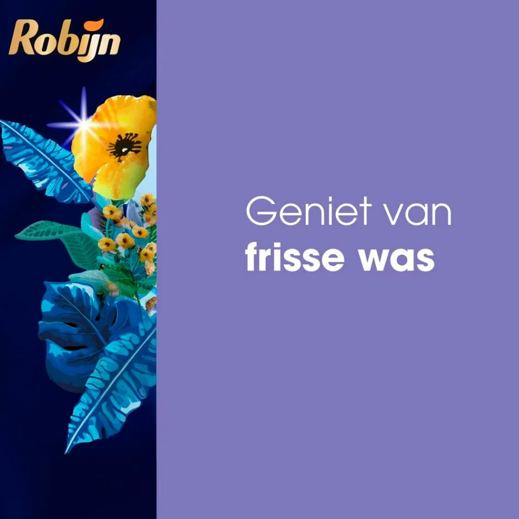 Robijn Wasmiddel>Classics Klein & Krachtig Black Velvet Vloeibaar Wasmiddel