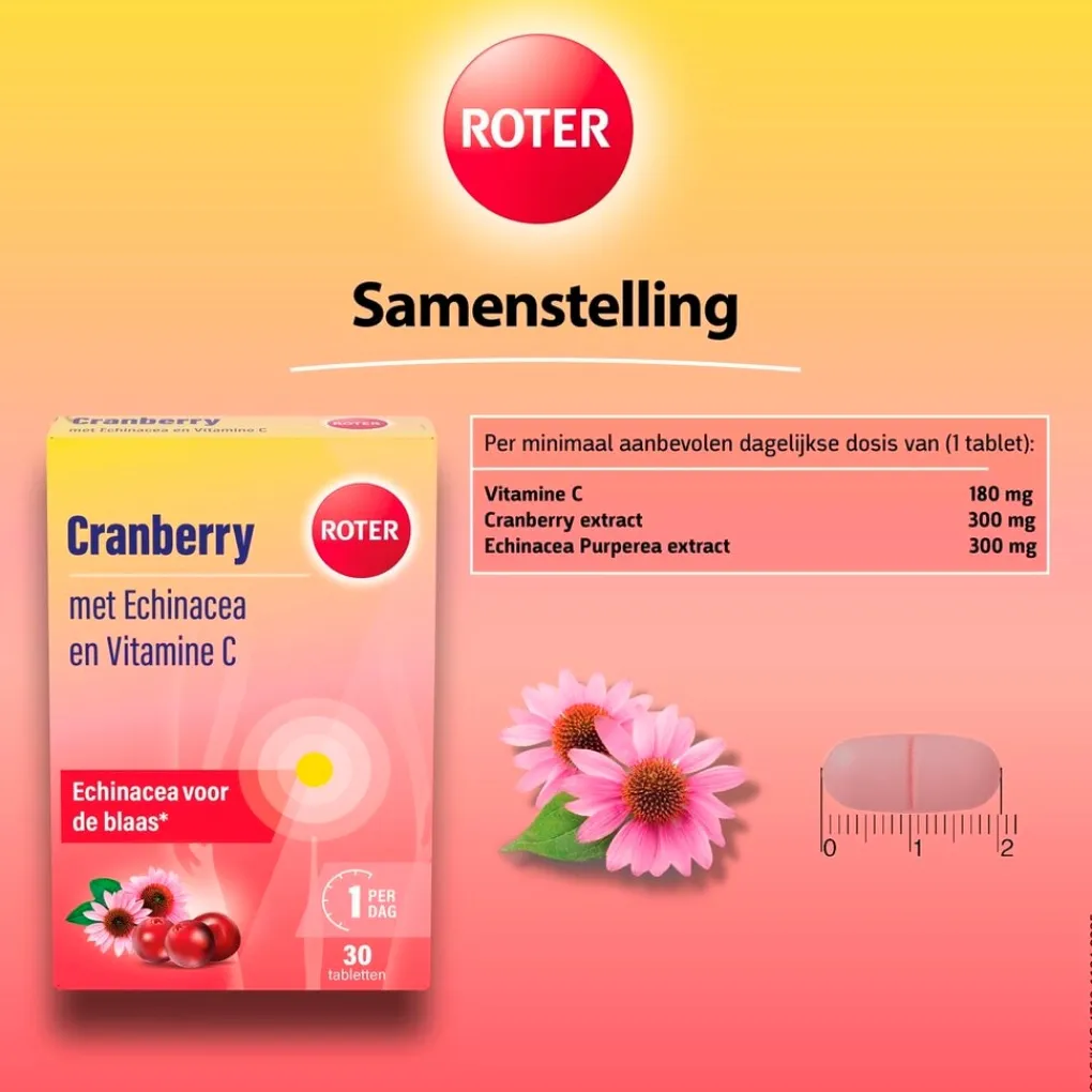 Roter Cranberrysupplementen|Vitamines>Cranberry Vitamine C en Echinacea Tabletten