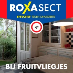 Roxasect Insectenbestrijding>Fruitvliegjes