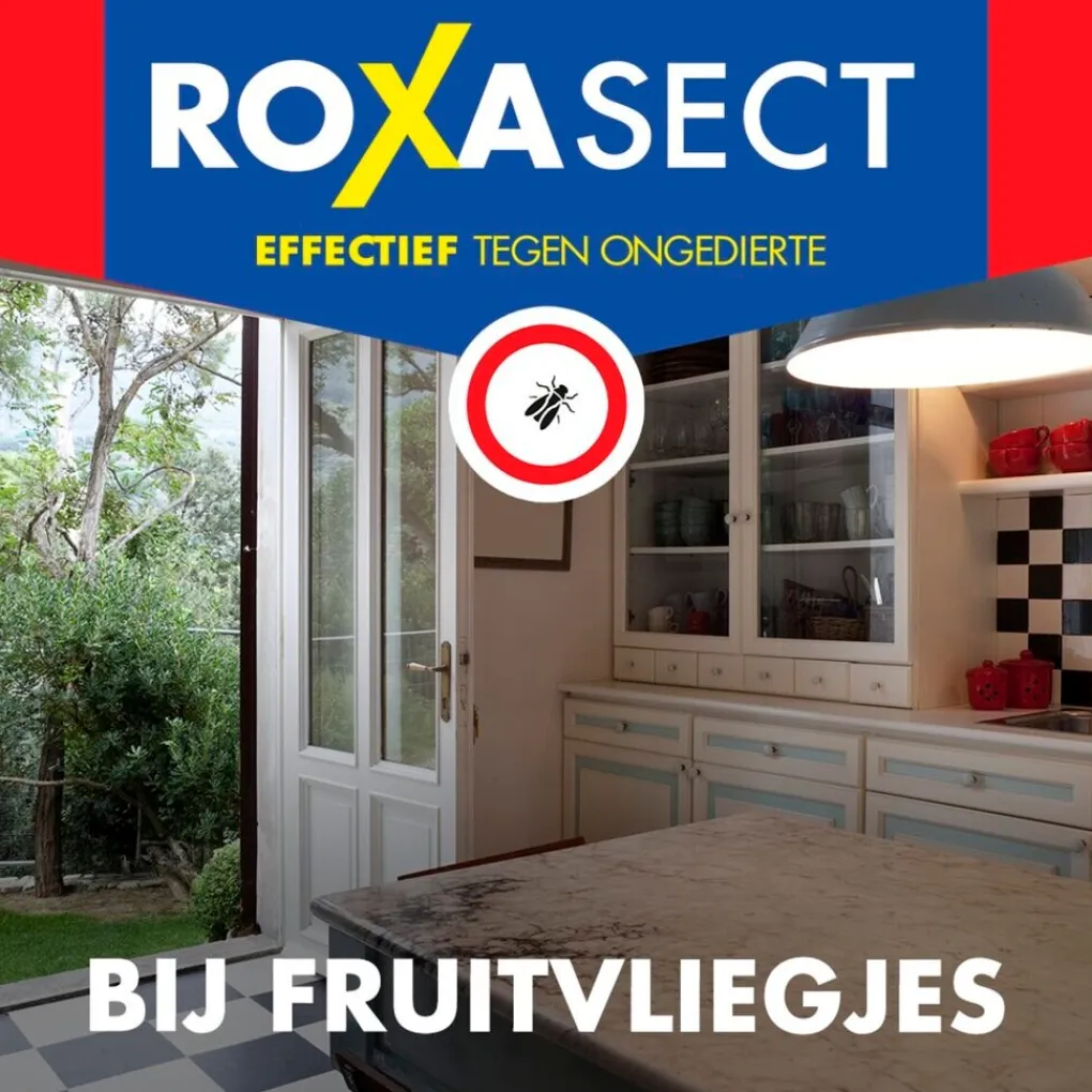 Roxasect Insectenbestrijding>Fruitvliegjes