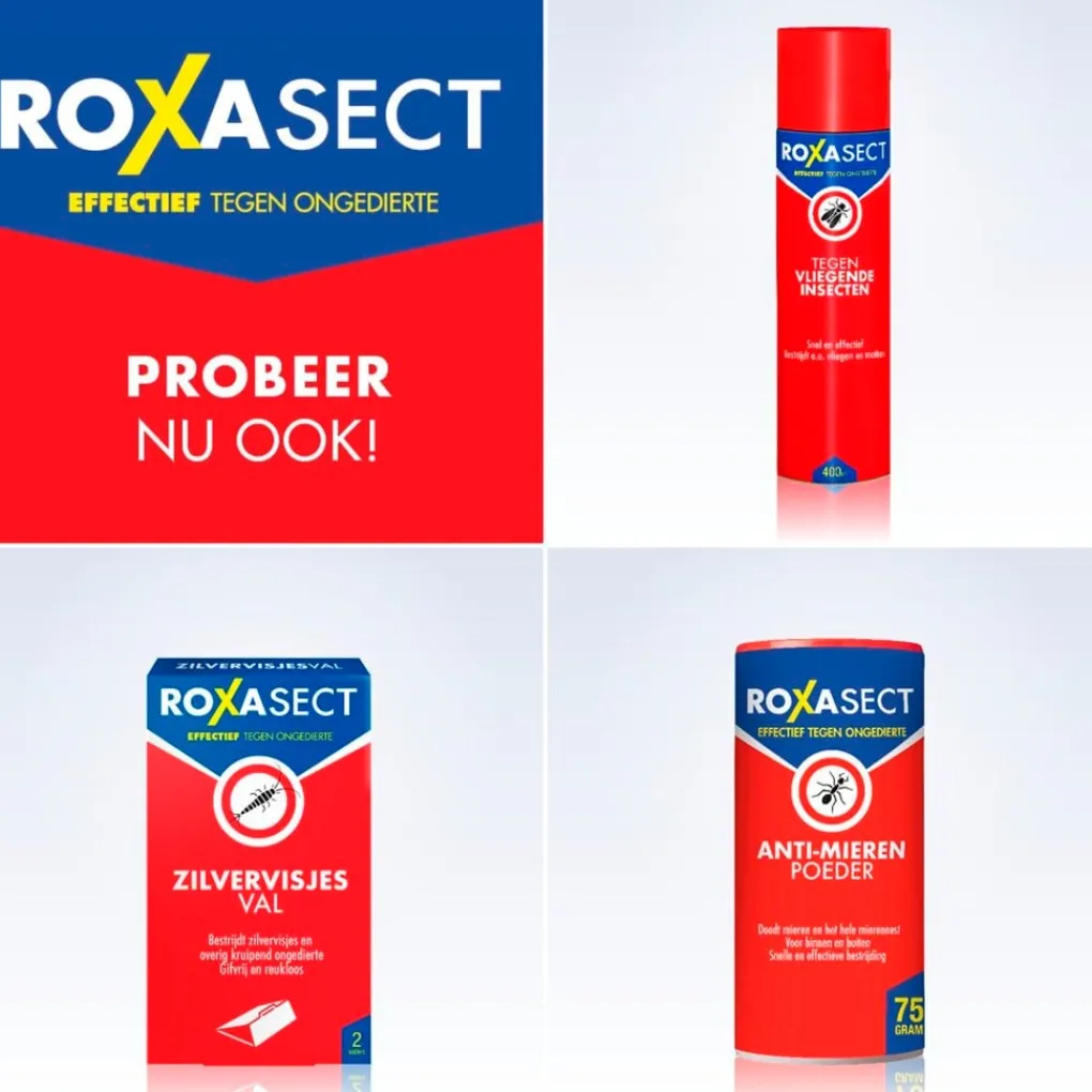 Roxasect Insectenbestrijding>Spuitbus tegen Kruipende Insecten en Wespen