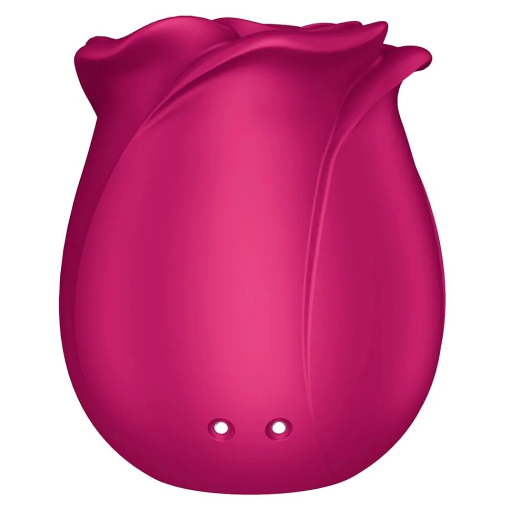 Satisfyer Seksspeeltjes>Pro 2 Classic Blossom Air Pulse Vibrator