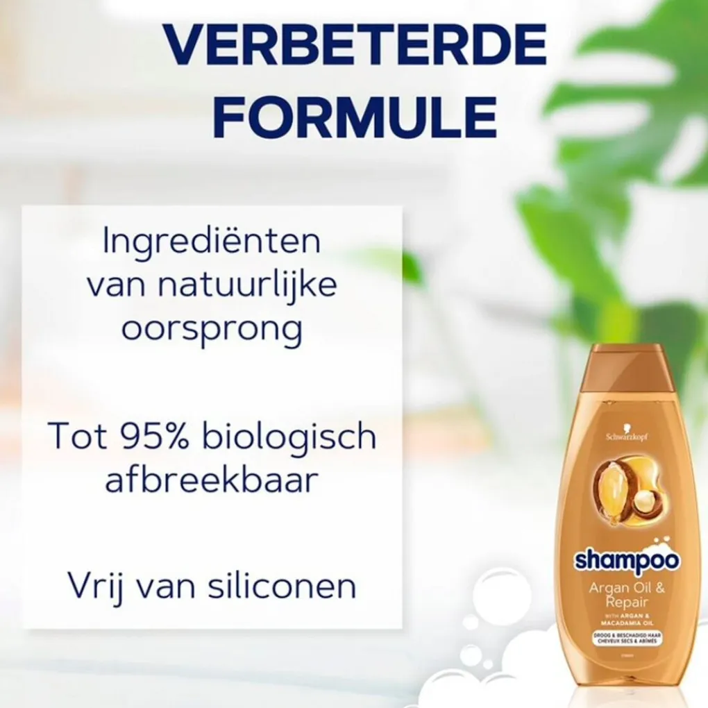 Schwarzkopf Shampoo>Argan Oil & Repair Shampoo