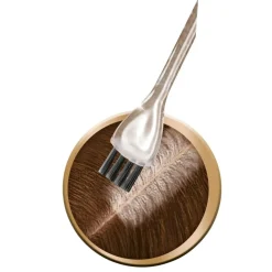 Schwarzkopf Color Haarverf>Schwarzkopf Vital R2 Goudbruin Haarverf Uitgroeiset