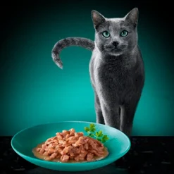 Sheba Diervoeding><noscript><img width=