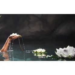 Therme Bodyolie><noscript><img width=