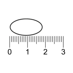 Trekpleister Mineralen>Calcium Magnesium Zink Tabletten