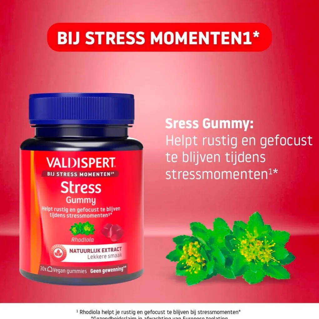 Valdispert Rust En Ontspanning>Stress Gummies
