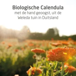Weleda Baby Haarverzorging><noscript><img width=