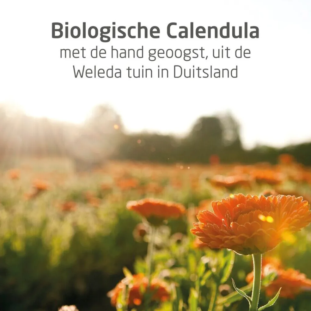Weleda Baby Haarverzorging>Baby Calendula Shampoo & Douchecrème