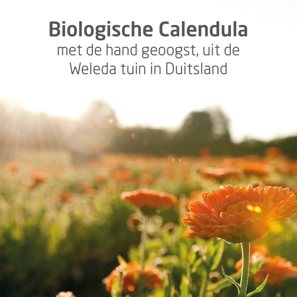 Weleda Baby Huidverzorging>Calendula Weer en Windbalsem