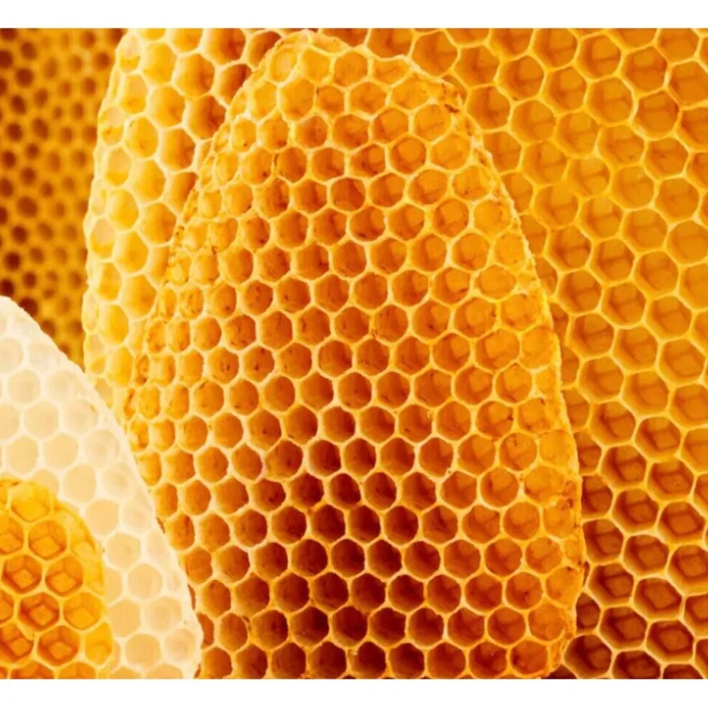 Weleda Dagcreme>Cold Cream Gezichtscrème